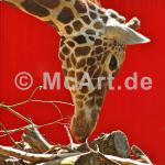 Giraffe 250g/m²,Fotopapier-Satin, seidenmatt